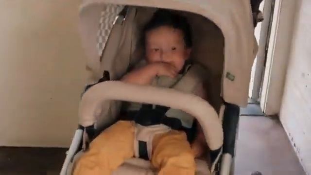 Прогулочная коляска Bumbleride Indie смотреть онлайн