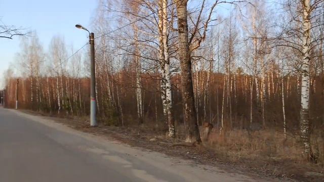 Красивая природа 🌳
Восход солнца ☀️
Гуляем с Риччи 🐶 смотреть онлайн