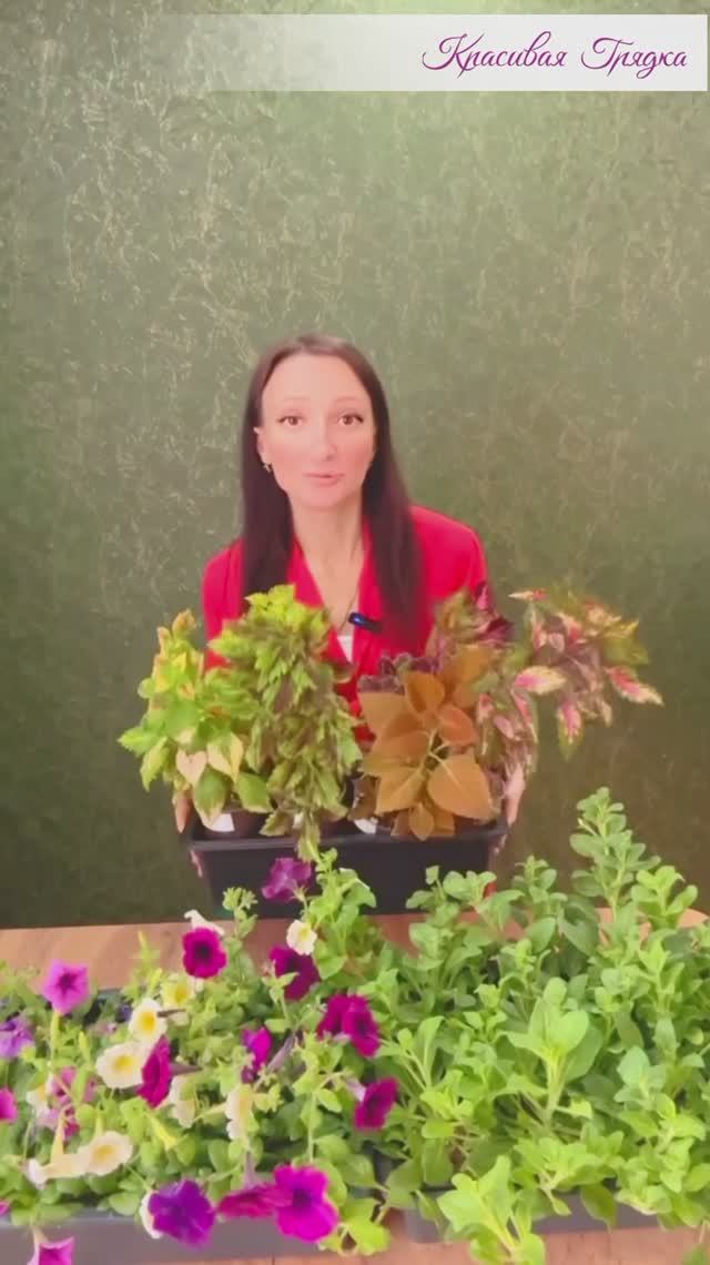 Большой стеллаж для рассады.🍀 смотреть онлайн