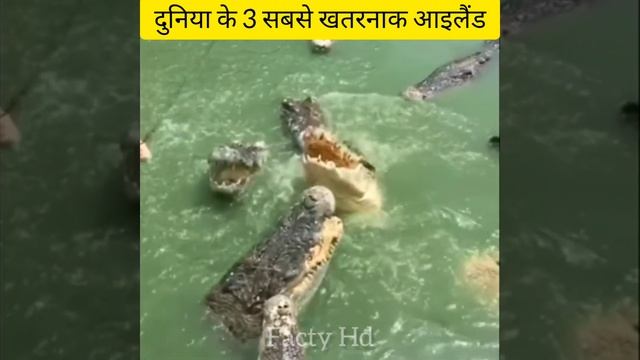 दुनिया के 3 सबसे खतरनाक आइलैंड 😱 #shorts смотреть онлайн