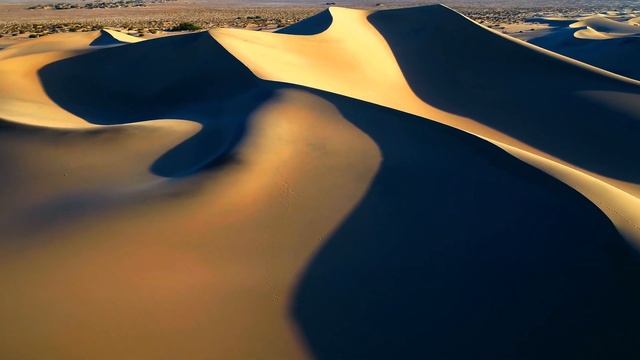 12K HDR 60FPS DOLBY VISION - VIBRANT HUES - TRUE CINEMATIC