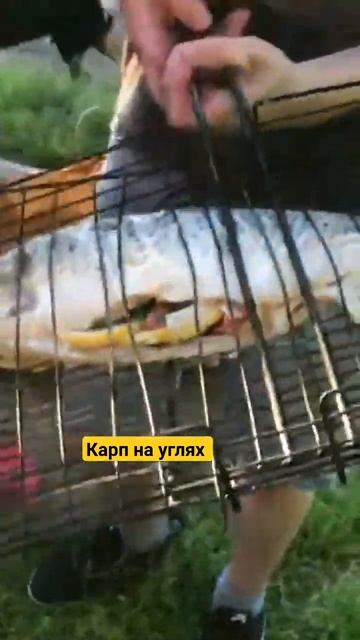 #shorts сама поймала Карпа и приготовила на углях! Julia Bura и D'yadya J.i. (Дядя Джей Ай) шоу смотреть онлайн