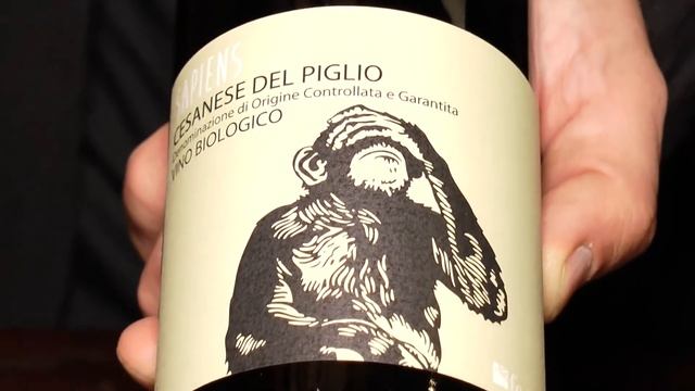 Presentazione vini Horeca Cantina Federici Lazio Italy смотреть онлайн