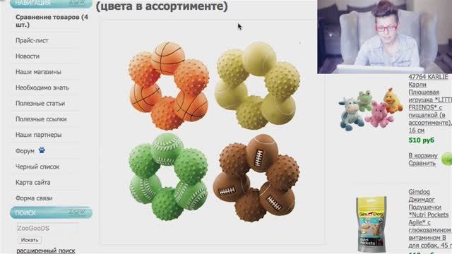 Что купить щенку: выбор и бюджет | Советы 🐕💰 смотреть онлайн