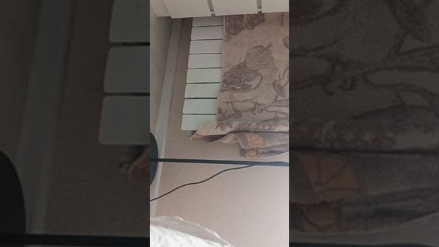 18.03.25/11:30 Сверлят смотреть онлайн