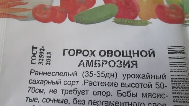Горох  Амброзия  Семена