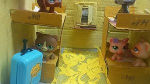 LOVE IS LPS ✨ ❗"ВАГОН КУПЭ" ❗# lps топ #