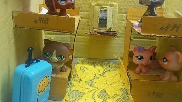 LOVE IS LPS ✨ ❗"ВАГОН КУПЭ" ❗# lps топ #