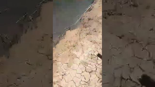 Daxshatli uchar baliqlar смотреть онлайн