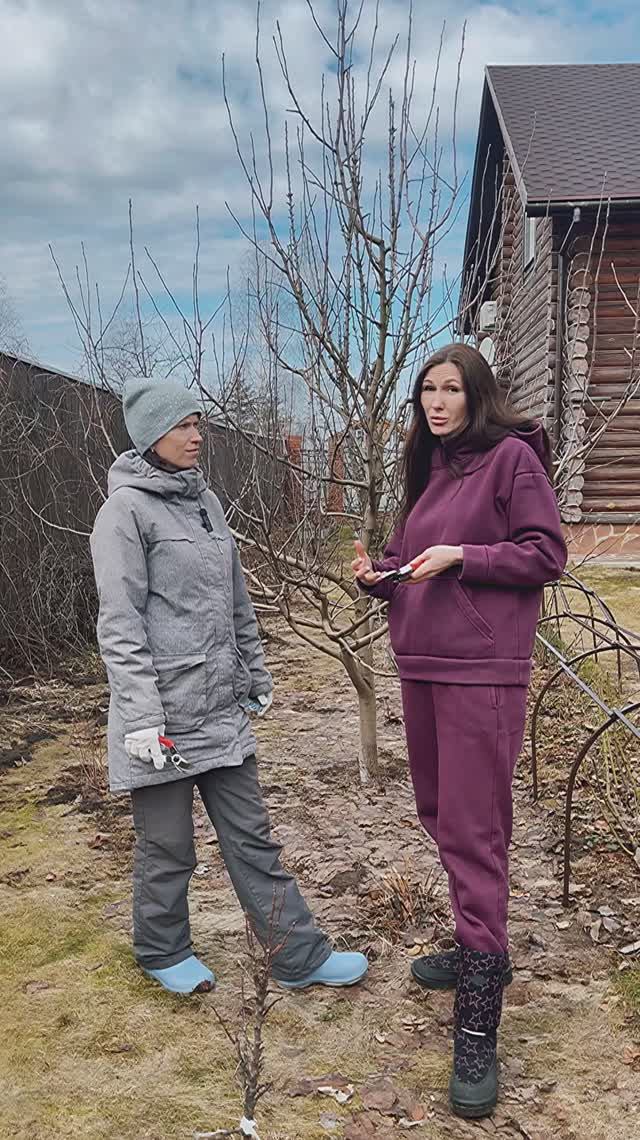 Весенняя обрезка яблони Белый налив. смотреть онлайн