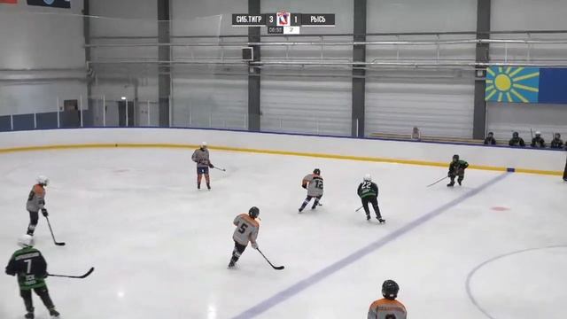 Сибирский тигр – Рысь смотреть онлайн