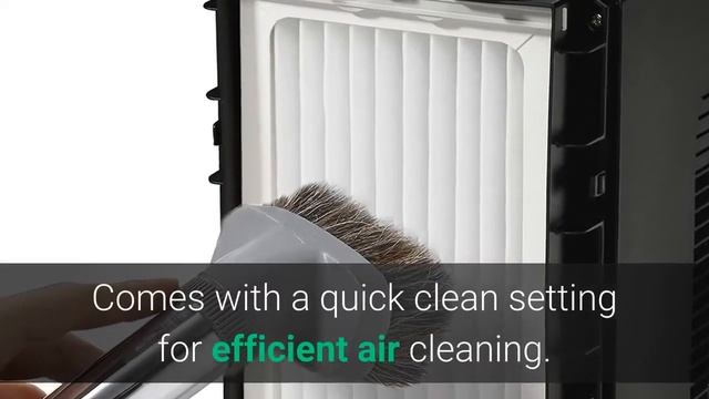 TOP 5: Best Air Purifier for Smoke 2023 смотреть онлайн