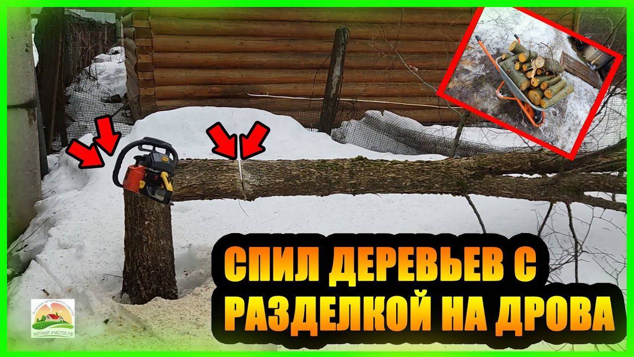 СПИЛ ДЕРЕВЬЕВ С РАЗДЕЛКОЙ НА ДРОВА- БЕЗ КОРЧЕВАНИЯ ПНЕЙ, И ВЫВОЗА ВЕТОК смотреть онлайн