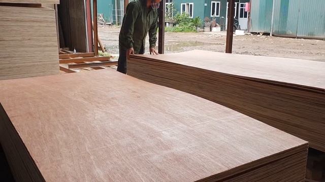 Bintangor plywood, AB grade - Pls contact us for best price: hgplywood@gmail.com смотреть онлайн