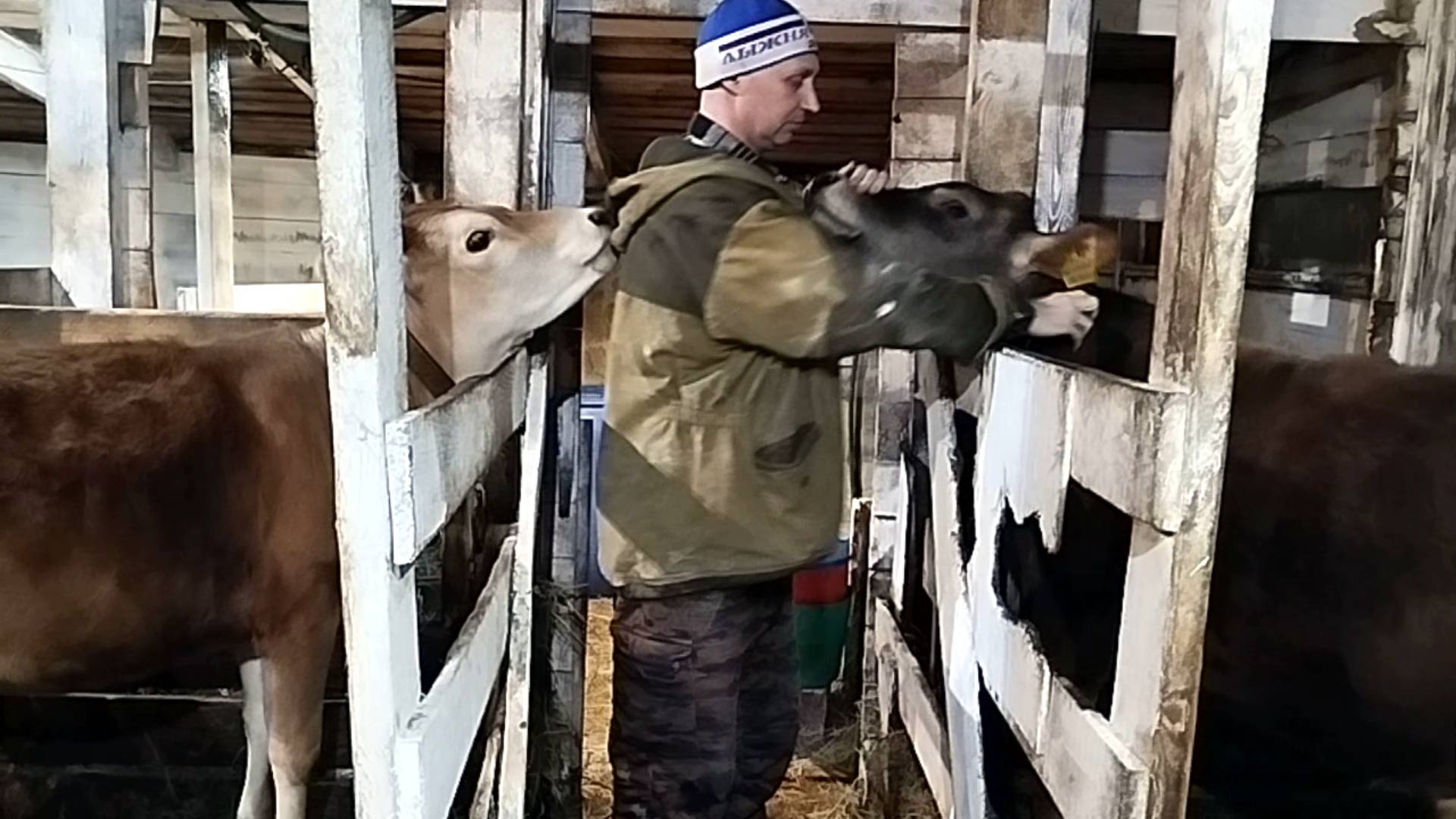 ЛЕША ПОМЫЛ ВСЮ СКОТИНУ🤔 смотреть онлайн