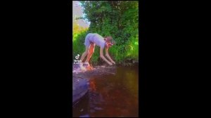 подборка видео квадробика из тик ток