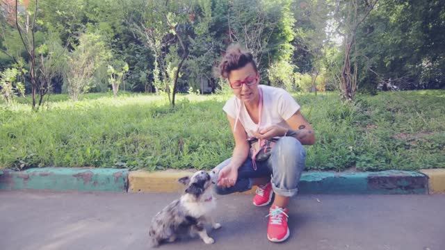 Как научить собаку команде Сидеть? | Дрессировка 🐕🎓 смотреть онлайн