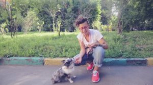 Как научить собаку команде Сидеть? | Дрессировка 🐕🎓