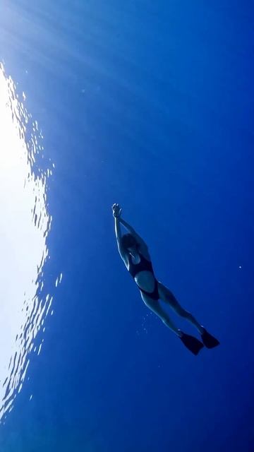 #фридайвинг #extremesport #дыхание #freediving #дыхательныепрактики смотреть онлайн