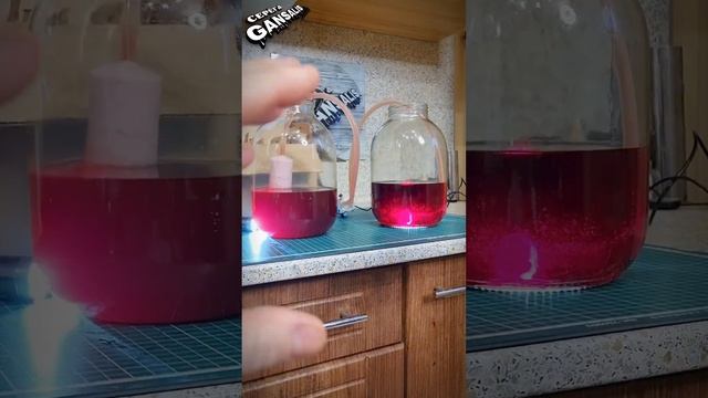 ТА САМАЯ ФИЛЬТР-СИСТЕМА в работе #хитростисамогонщика #секретысамогонщика #фильтрациясамогона смотреть онлайн