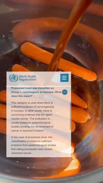 🚨Would You Try The Viral CARROT Hotdog! 🌭🥕