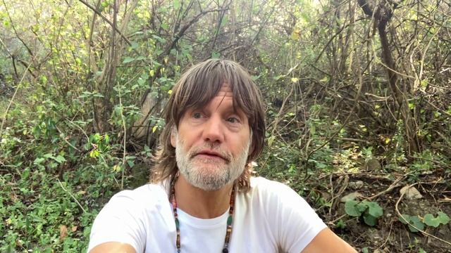 My Experience With Modern Taoist Practices!