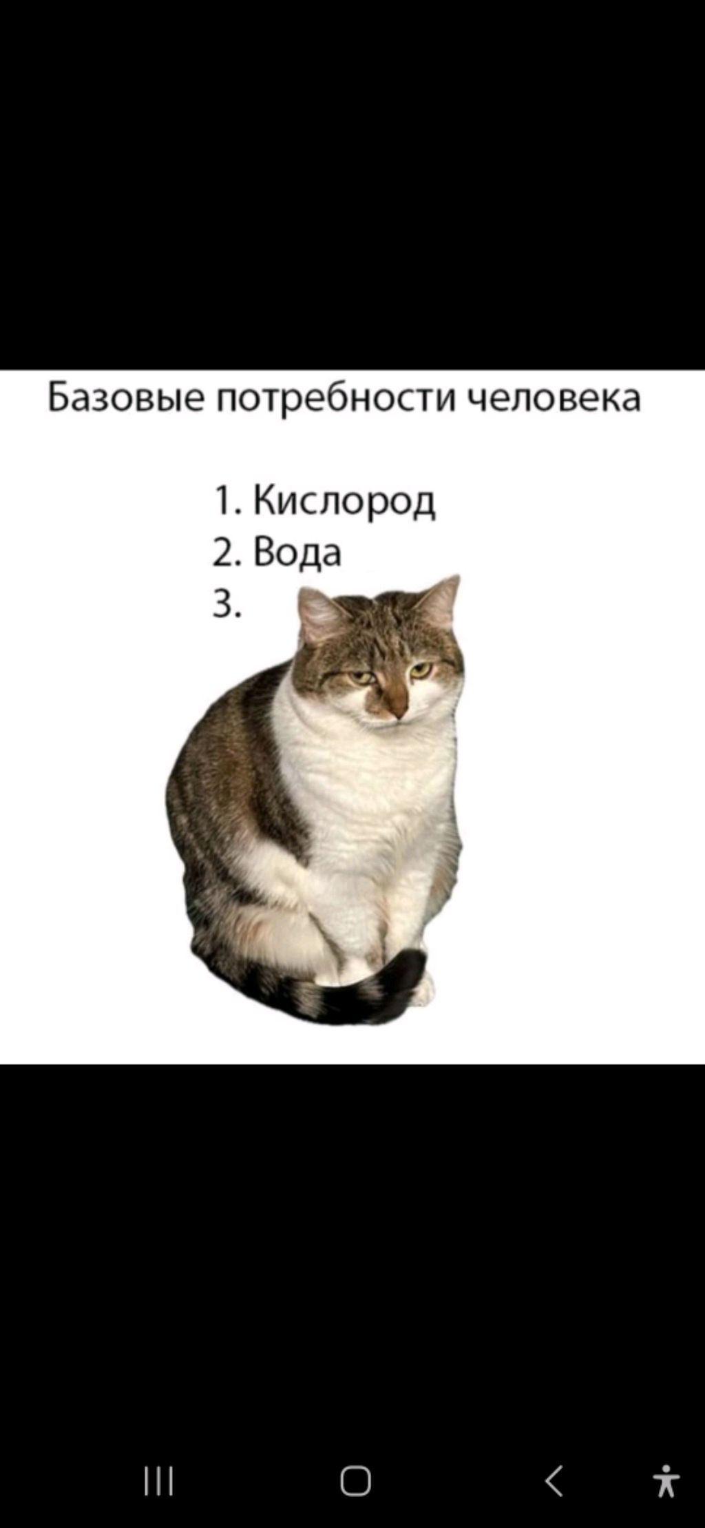 Делаю уроки 🔥🔥🔥 смотреть онлайн