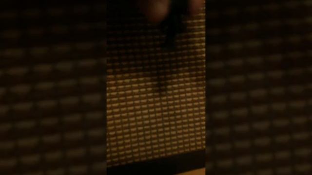 Прилипалы открытие и обзор!!! смотреть онлайн