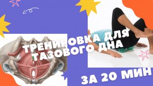 ТРЕНИРОВКА ДЛЯ ТАЗОВОГО ДНА| УПРАЖНЕНИЯ ЛУЧШЕ ЧЕМ КЕГЕЛЯ