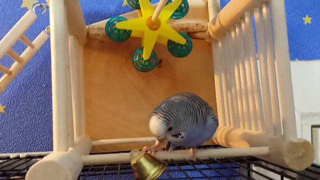 Ника и колокольчик смотреть онлайн