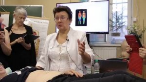 Диагностика по пульсу в животе, всех органов и тканей