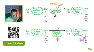 СИНТЕЗ ВЫСШИХ ЖИРНЫХ КИСЛОТ за 12 МИНУТ // На Биохимическом