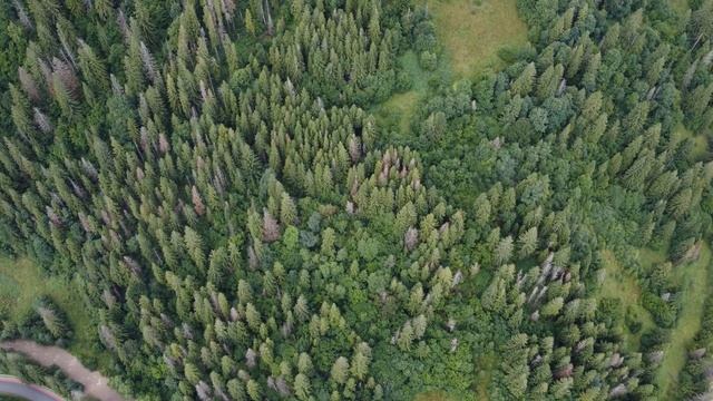 Краєвиди Карпат - Славське 4K смотреть онлайн