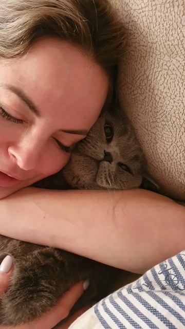 КОШАЧИЙ ЗАХВАТ😁 смотреть онлайн