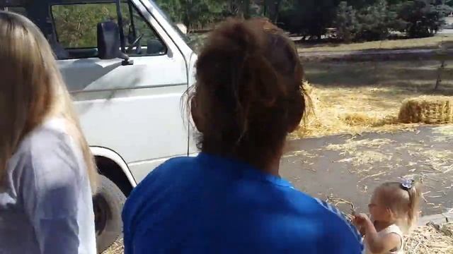 Ингулецкие любители халявы ТАЩУ ВСЕ ЧТО ПЛОХО ЛЕЖИТ!! смотреть онлайн