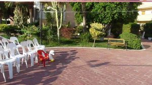 Hotel Krizantem Katya Alanya