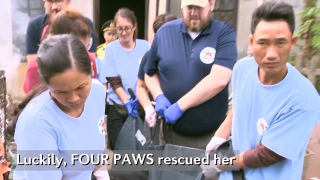 Welcome home, Hai Chan! смотреть онлайн