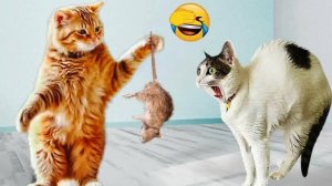 СМЕШНОЕ ВИДЕО ❤️ Смешные видео про животных😸Приколы с животными 😸Наши любимые смешные животные