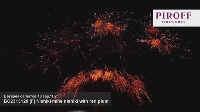 Nishiki mine nishiki with red plum 1,2"х13з смотреть онлайн