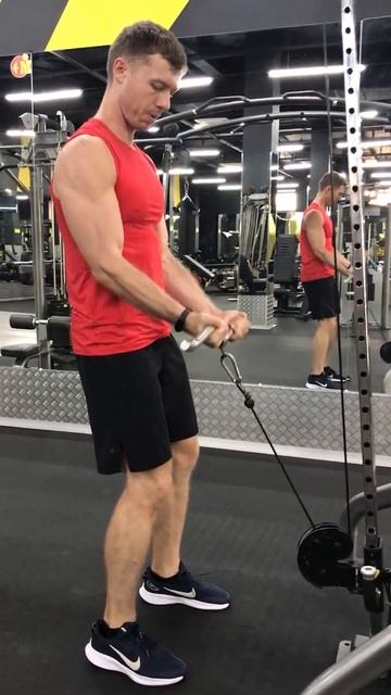 6.1 Сгибания рук на бицепс в блочном тренажере