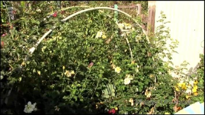 Арка для роз из пластиковых труб сделай сам, на даче, приусадебном участке, своими руками. смотреть онлайн