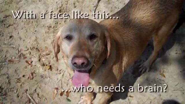 Daisy Goes To The Sound On Easter