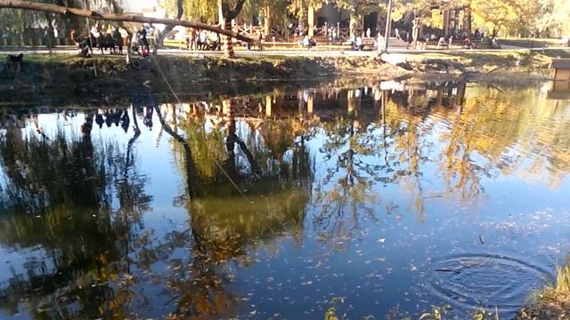 Запорожье Дубовка осень 2014г VID 20141011 153517 смотреть онлайн