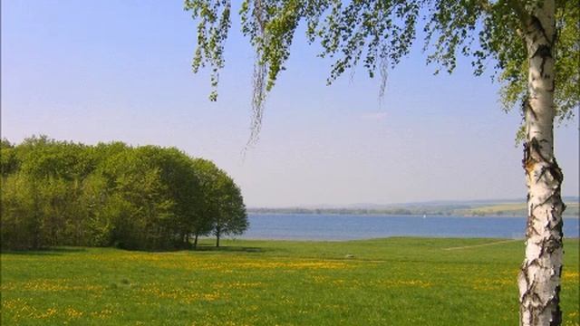 2 Reis 22 / Leia a Bíblia em 1 Ano - 169º Dia - 02/03 смотреть онлайн