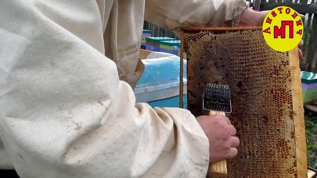 Пчеловодный пасечный ёж для распечатки медовых рамок смотреть онлайн