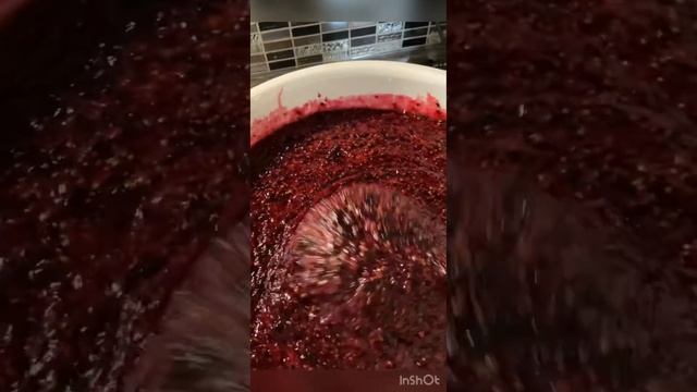 Horticultural Harmonies