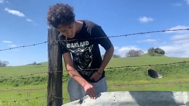 Finding Northern Pacific Rattlesnakes (crotalus oreganus) in San Francisco California смотреть онлайн