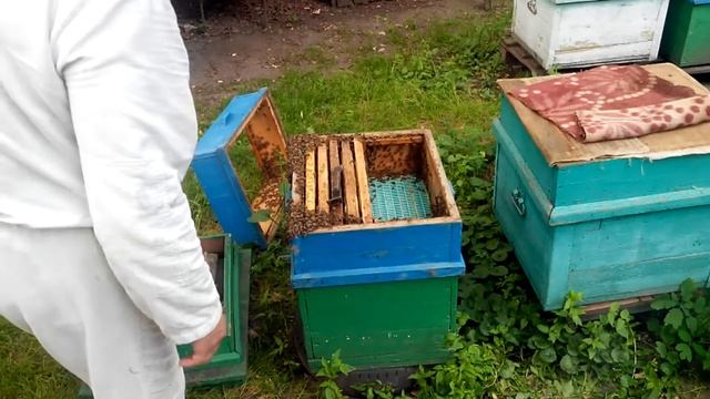 качаем мед 2020 смотреть онлайн