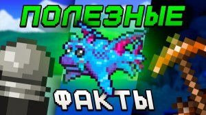 📹 Интересные и полезные факты в Террарии