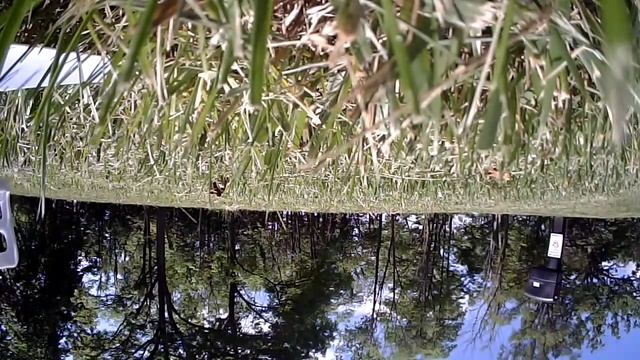 First Flight - Syma X1 & 808 #16 Lens D Camera смотреть онлайн